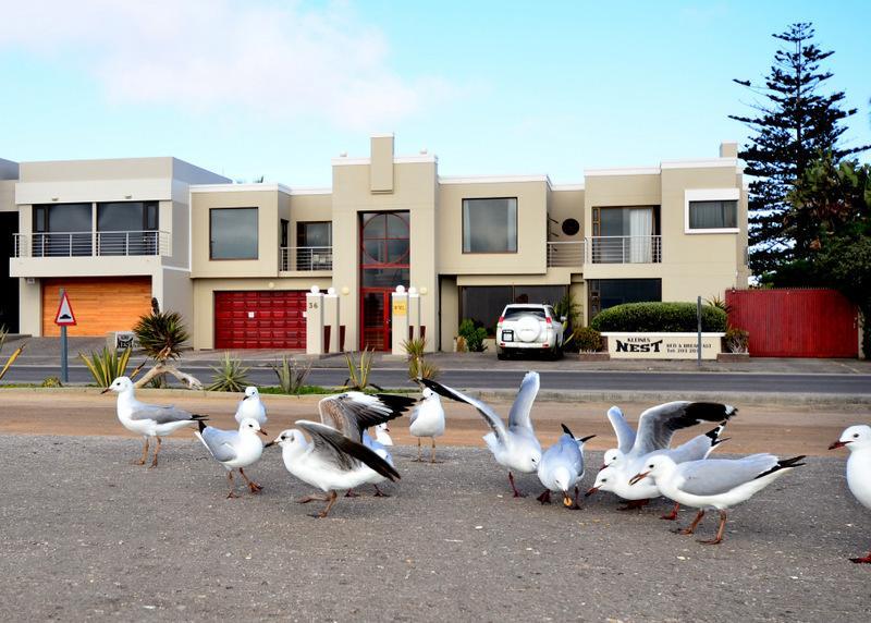 Kleines Nest Bed And Breakfast Walvis Bay Exterior photo